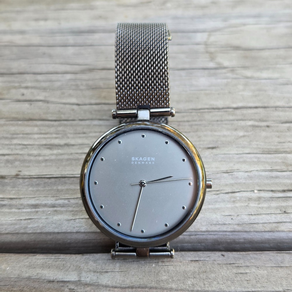 Skagen SKW2485 Gray Dial Mesh Stainless Steel Women's Watch Denmark NEW BATTERY